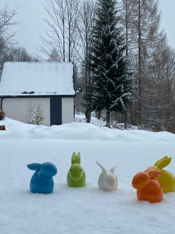 Cerla Korbielow - Domek Dla Dwojga Eksteriør bilde